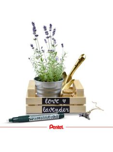   Krétamarker, 2-4 mm, megfordítható hegy, PENTEL "SMW26", narancs (PENSMW26N)