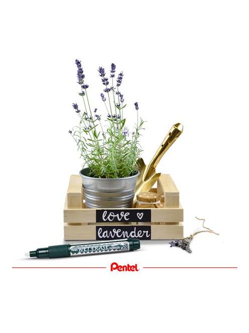 Krétamarker, 2-4 mm, megfordítható hegy, PENTEL "SMW26", narancs (PENSMW26N)