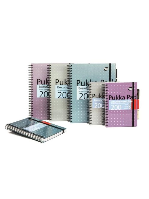 Spirálfüzet, A5, vonalas, 100 lap, PUKKA PAD "Metallic Project Book", vegyes szín (PUP6336)