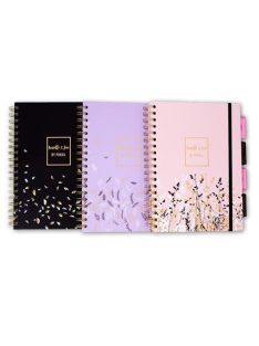   Spirálfüzet, B5, vonalas, 100 lap, PUKKA PAD "Rochelle & Jess Project Book", vegyes szín (PUP9447)