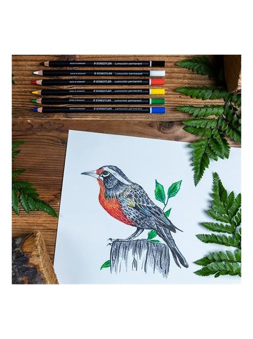 Jelölőceruza készlet, mindenre író, vízálló (glasochrom), STAEDTLER "Lumocolor 108 20", 6 különböző szín (TS10820BK6C)