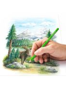 Színes ceruza készlet, hatszögletű, STAEDTLER "146C", 12 különböző szín (TS146CC12)