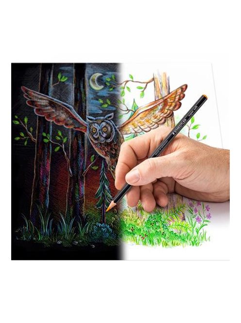 Színes ceruza készlet, hatszögletű, STAEDTLER "149 C, 12 különböző szín (TS149CC12)