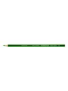 Színes ceruza készlet, hatszögletű, STAEDTLER "Noris Colour 185", 20+4 különböző szín (TS185C24P)
