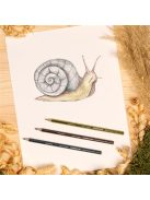 Színes ceruza készlet, hatszögletű, STAEDTLER "Noris Colour 185", 24 különböző szín (TS185CD2402)