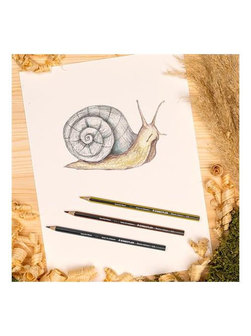 Színes ceruza készlet, hatszögletű, STAEDTLER "Noris Colour 185", 24 különböző szín (TS185CD2402)