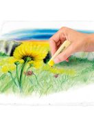 Porkréta, STAEDTLER "2430", 12 különböző szín (TS24030C12)