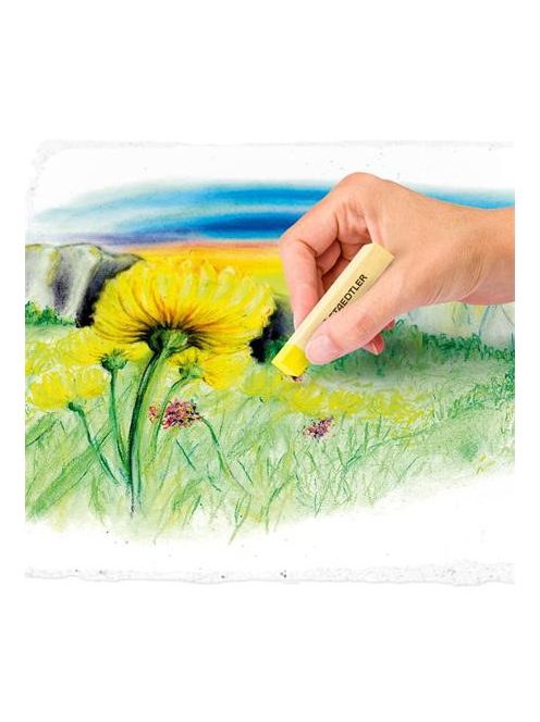 Porkréta, STAEDTLER "2430", 12 különböző szín (TS24030C12)