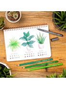 Tusfilc, 0,3 mm, STAEDTLER "Pigment Liner 308", fekete (TS308039)