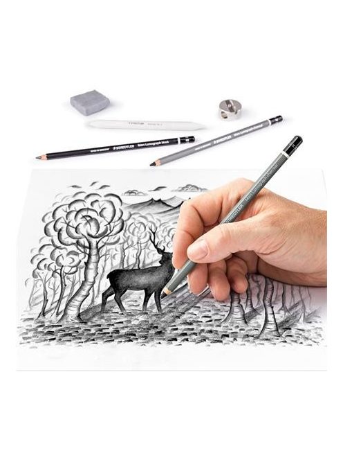 Grafit- és szénceruza készlet, kiegészítőkkel, 12 darabos, STAEDTLER "Mars® Lumograph® 100C" (TS61100C)