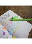 Rostirón, 0,8 mm, SCHNEIDER "Topwriter 157", zöld (TSC157Z)