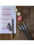 Töltőtoll ajándékszett, 1,1 mm, ajándék 1,5 és 1,8 mm-es tollheggyel, SCHNEIDER "Callissima", antracitszürke (TSCCALASZ)