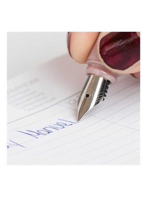 Töltőtoll, M-es, SCHNEIDER "Ceod Shiny", gyöngyház rózsaszín (TSCCSHR)